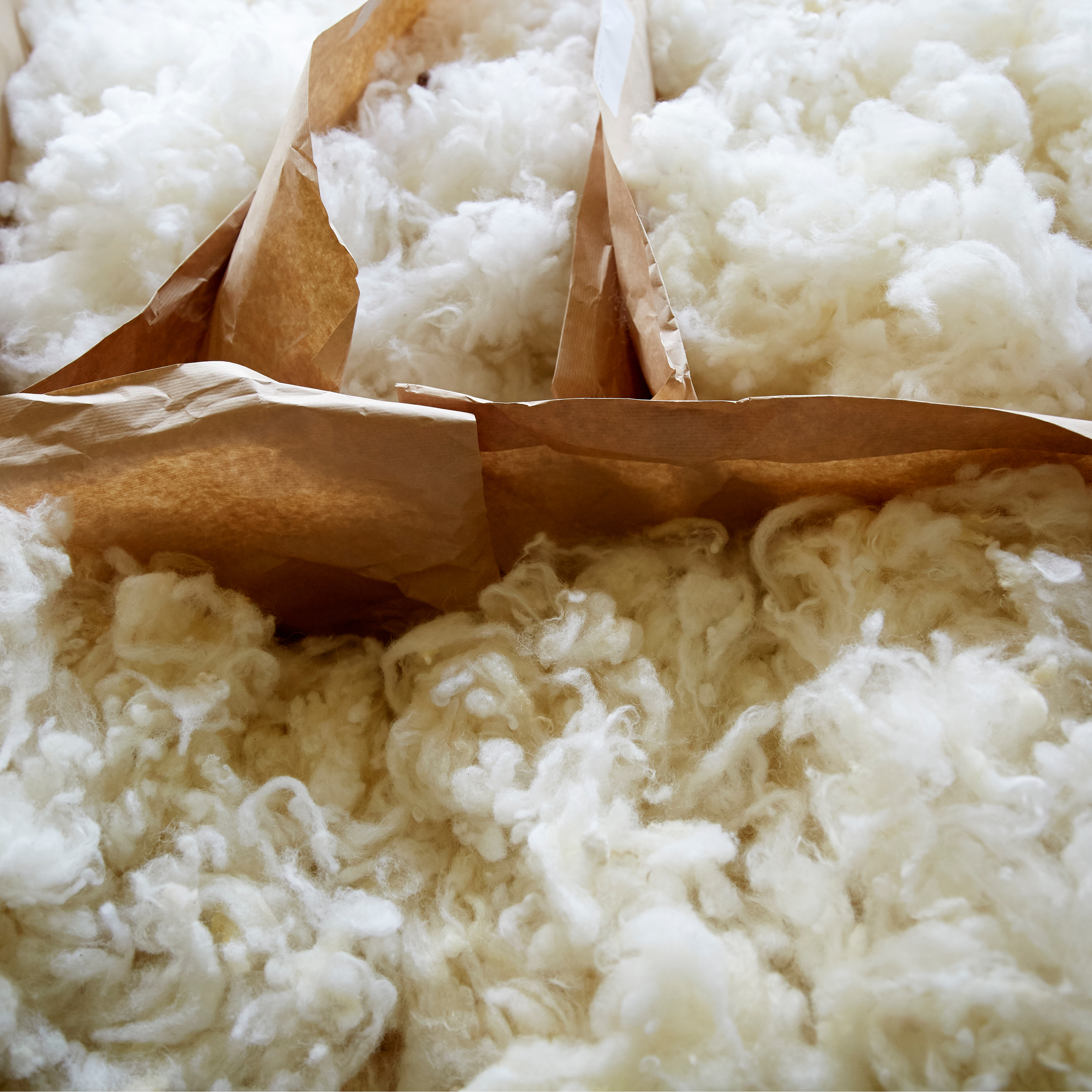 Swedish Wool